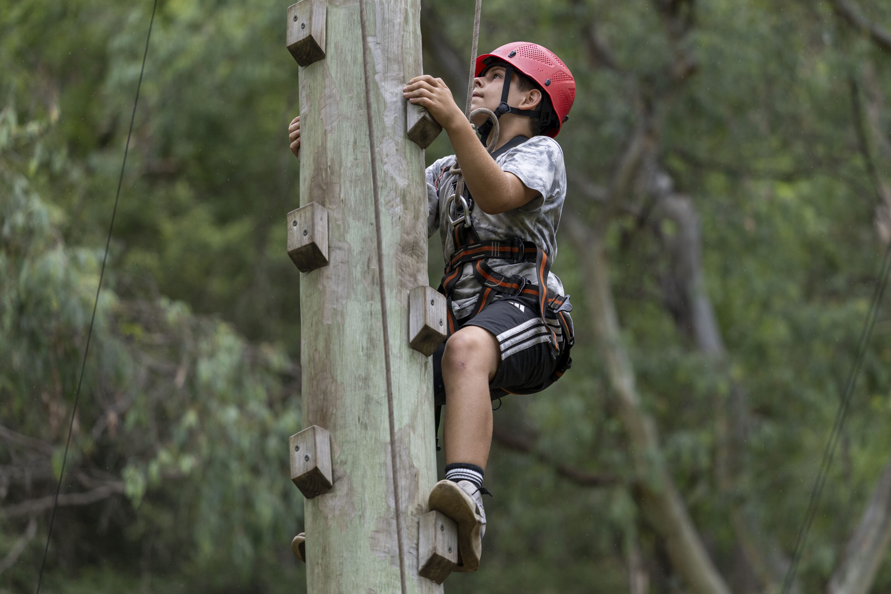 A child wearing a red helmet and harness climbs a tall wooden pole with small steps outdoors, surrounded by greenery.